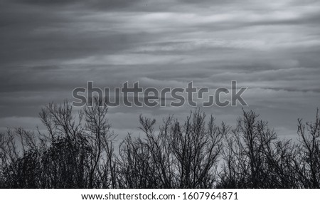 Silhouette dead tree on dark sky and gray clouds background for sad, death, grief, and lament. Summer night abstract background. Hopeless and despair concept. Art image of nature with copy space. 