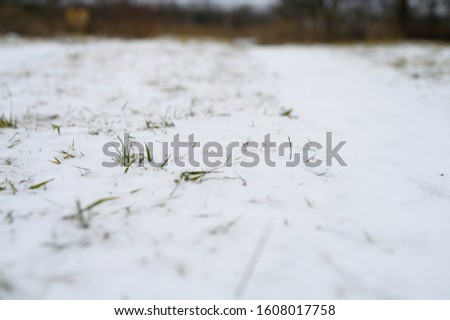 a small amount of snow on the ground and green grass sticking out from under it. winter with little snow