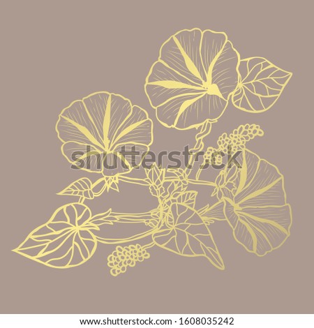 Decorative abstract golden morning glory flowers, design elements. Can be used for cards, invitations, banners, posters, print design. Golden floral  background in line art style