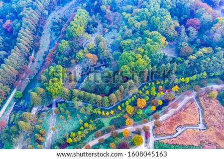 Aerical view of colorful autumn foliage at Incheon Grand Park, Korea