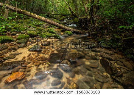 beautiful waterfall in green forest river stream in jungle of Thailand