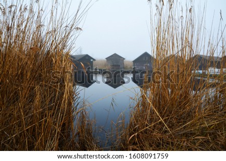 Reed at Lake Neusiedl in Burgenland Austria during winter Royalty-Free Stock Photo #1608091759