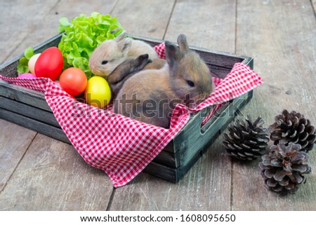 Happy Easter Day. Rabbit with colorful Easter eggs in a wooden basket tied with ribbon. Cute Easter bunny rabbit with painted Easter eggs on wood background.