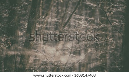 Early spring forest background with tree branches and fresh buds, natural abstract wallpaper