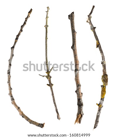 Sticks and twigs isolated on white background Royalty-Free Stock Photo #160814999