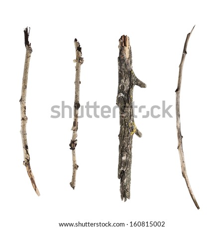 Sticks and twigs isolated on white background Royalty-Free Stock Photo #160815002