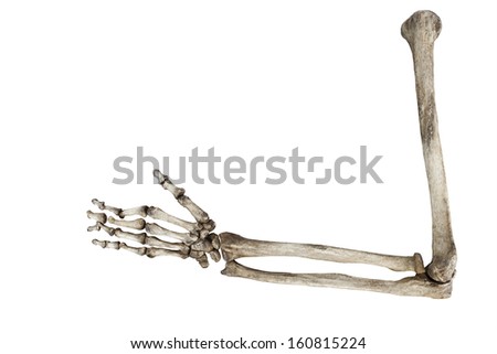 old bones of the human hand isolated on white background  Royalty-Free Stock Photo #160815224