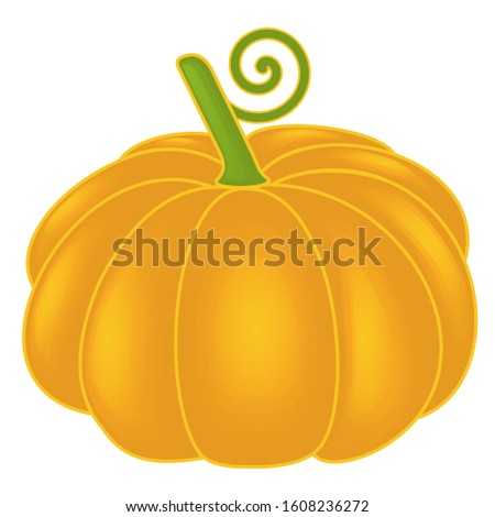 yellow-orange pumpkin with green stalk and curl on a white isolated background