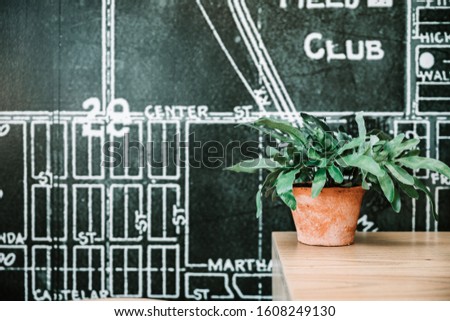 Green plant in a brown vase on a tan desk in a mid-century modern office. Black and white map design background. 