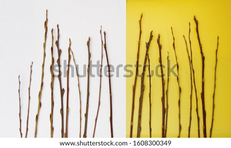 small tree branches on the table