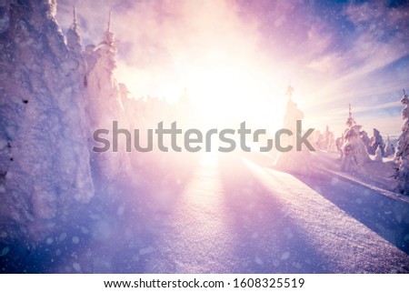 Beautiful winter landscape with snow covered spruce trees. Majestic landscape in the cold winter morning