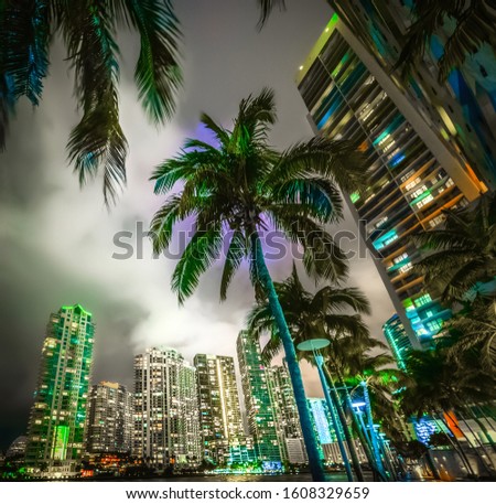 Palm trees and skyscrapers in Miami riverwalk. Florida, USA