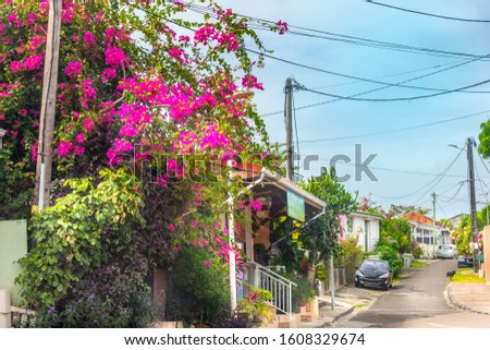 Picturesque street in Guadeloupe, French west indies. Lesser Antilles, Caribbean