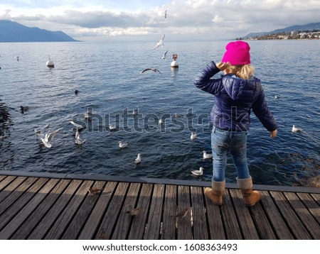 Birds feeding at the lake of Geneva Switzerland. 