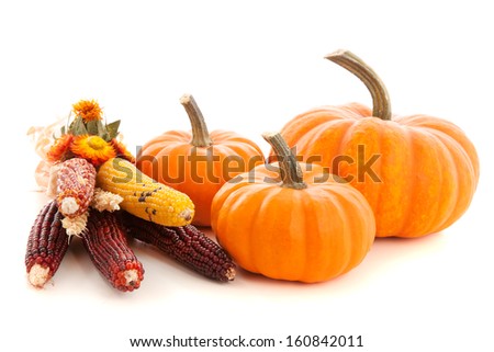 Pumpkins isolated on white background