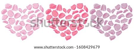 Vector romantic heart design of isolated pink, red, lilac rose flower petals. Mother of pearl petals in a watercolor style. For love cards, greetings, weddings, Valentine's Day. Wall sticker, cover.