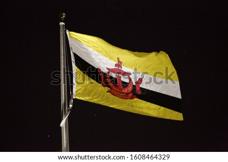 Brunei flag blowing in the wind at night