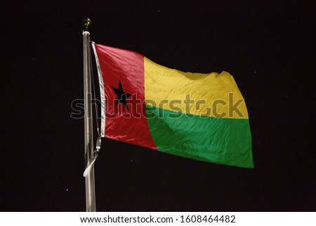 Guinea-Bissau flag blowing in the wind at night