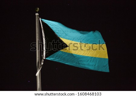 Bahamas flag blowing in the wind at night