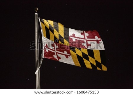 Maryland flag blowing in the wind at night