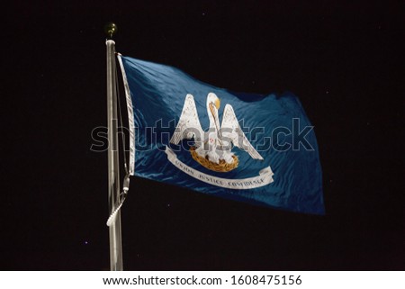 Louisiana flag blowing in the wind at night