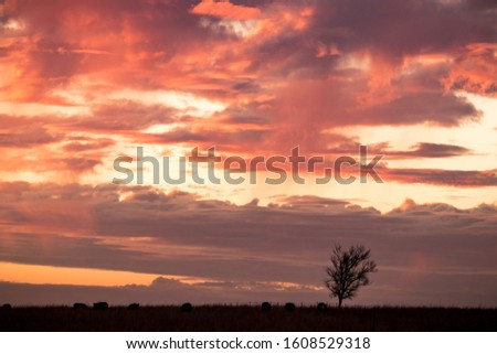 A valley surrounded by grass and trees under a cloudy sky during a beautiful pink sunset