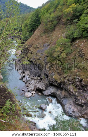 beautiful view of a mountain river with clear turquoise water flowing among gray rocks with green vegetation on a summer day