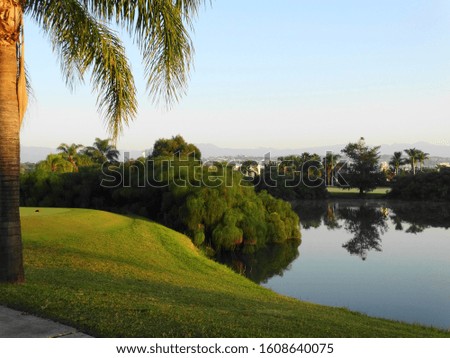 landscape of green garden and natural lake with bushes