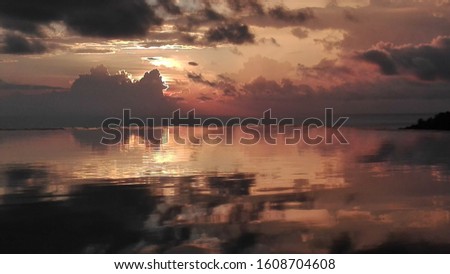 The sunrise in height with the swimming pool overlooking the sea of the Gulf of Thailand, these plunging hills, with a coconut palm tree on a background of tormented sky in orange-red coiling with dis
