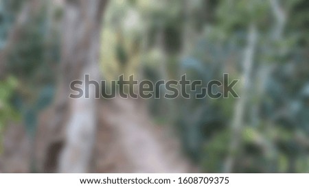 Abstract blurred path in jungle slide background