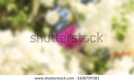 Abstract blurred path in jungle slide background