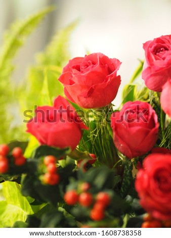 red rose flower arrangement Beautiful bouquet on blurred of background symbol love Valentine Day, space for copy write