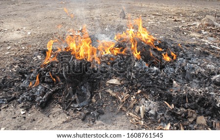 bonfire and flame , dry leaves and ashes and smoke, waste incineration, fire,