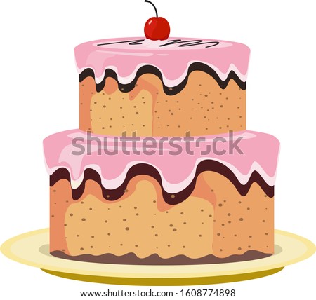 beautiful birthday cake with pink chocolate. design vector