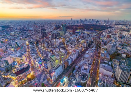 Tokyo city skyline (Shinjuku and Shibuya) area at sunset in Japan from above

