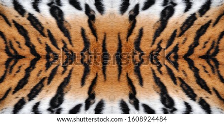 background animal tiger skin pattern