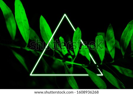 Bright green tropical leaves with neon rectangular frame minimalistic background. Floral backdrop concept. Floristry hobby. Web banner, greeting card idea. Concept color of Year