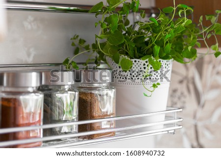 Closeup detail of spice rack with glass jars in a row on wall