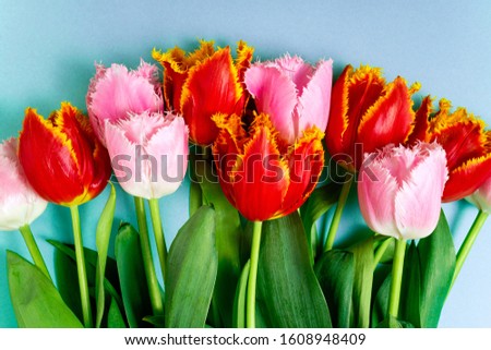 Floral pattern with spring flowers. Bouquet of tulips flowers on blue background. Easter, Valentines, 8 March, holidays concept. Top view