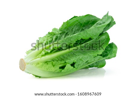 Fresh green Lettuce leaves, Salad leaf isolated on white background. with clipping path. Royalty-Free Stock Photo #1608967609