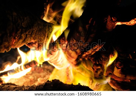 Forest fires, bonfire flames with high heat. Wild fires