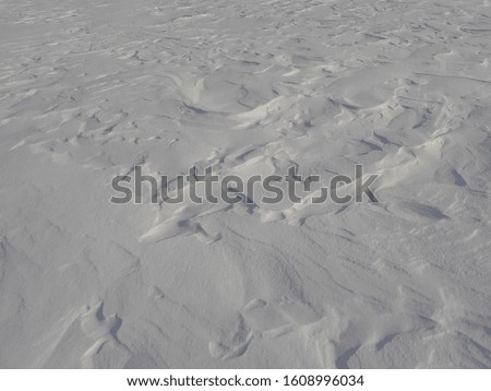 The work of wind on the snow surface.