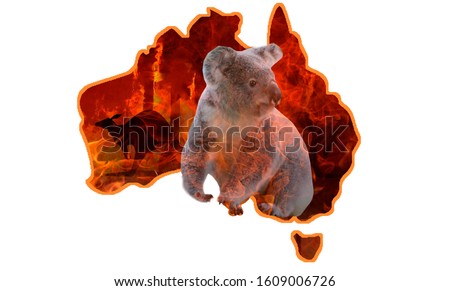 Australia fires: The animals struggling in the crisis. 480 million animals are being directly affected by Australia's bushfire crisis,. The extreme fires have ripped through natural habitats  Royalty-Free Stock Photo #1609006726