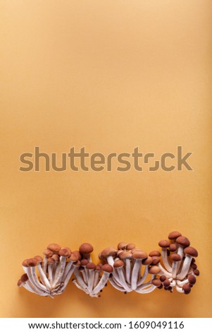 Bush mushrooms on a yellow background. Blank for flyers, advertising, place for text.