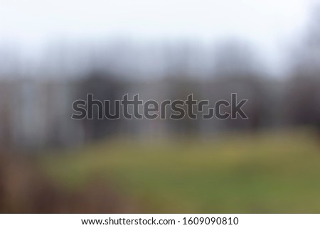 Photo in bokeh style.Against a blurred background of grey sky and trees without leaves, green grass and houses.