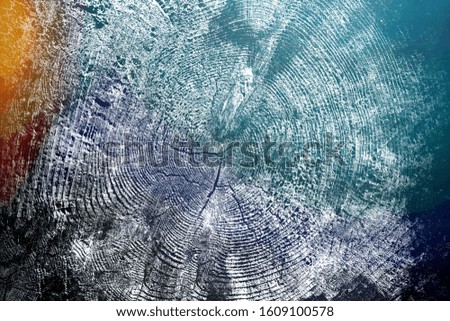 Texture of a wooden cut surface, close-up, with circles and cracks