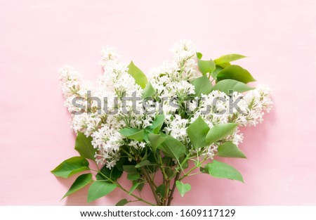 Lilac flowers on pink background. Spring flowers. Top view, flat lay, copy space. - Image