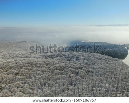 Frozen forest in Romania seen from a drone 