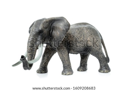 Portrait of an elephant isolated on the white background. 