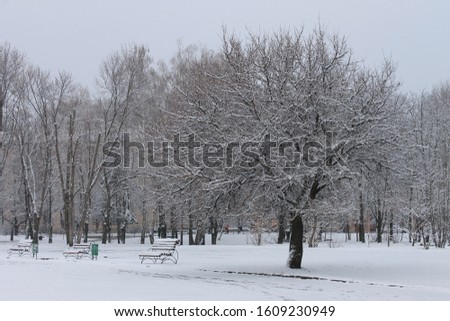 Wooden bench in the snow in the winter in the park. Tree covered by snow 